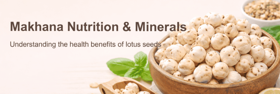 bowl of makhana lotus seeds showing natural nutrition rich snack
